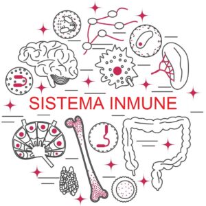 EXÁMENES PREVENTIVOS SISTEMA INMUNE